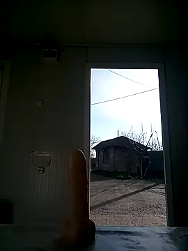 david geam online show from 03.14.25