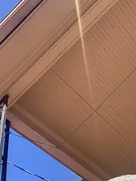 Snapshot of Tristris100 chatting on 02.24.25 Tristris100 online show from 02.24.25