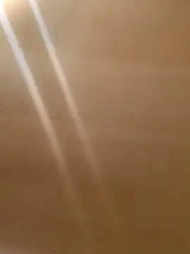 Snapshot of Tristris100 chatting on 03.09.25 Tristris100 online show from 03.09.25