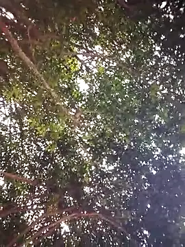 Snapshot of Brenda_Berck_ chatting on 04.05.26 Brenda Berck online show from 04.05.26