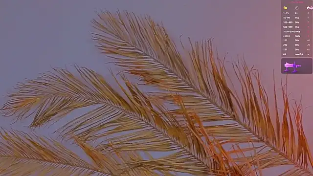 a11yson online show from 12.19.24