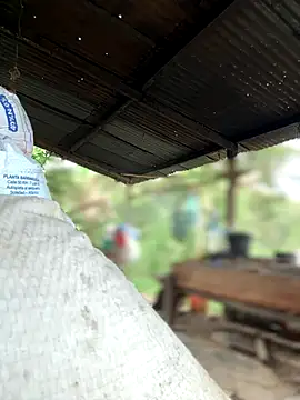 Ixchel Anaid online show from 10.30.25