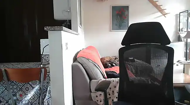 Snapshot of simona60 chatting on 02.23.25 simona60 online show from 02.23.25