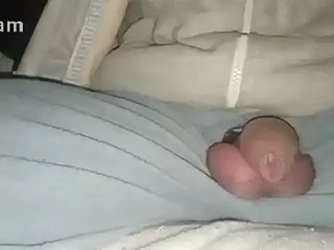 Snapshot of Bigdick666cm chatting on 02.02.25 Bigdick666cm online show from 02.02.25