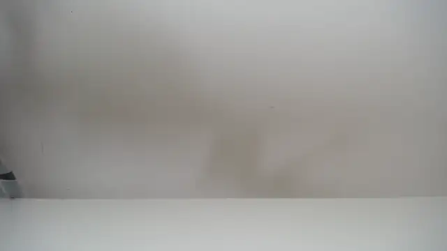 salomecastro  online show from 11.19.25