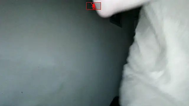 Ethangay online show from 11.02.25