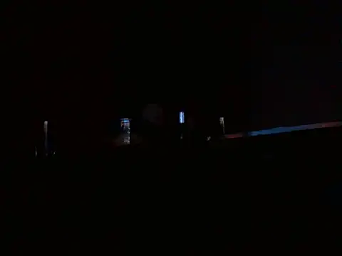 Snapshot of ZDRAVKICH chatting on 12.30.24 ZDRAVKICH online show from 12.30.24