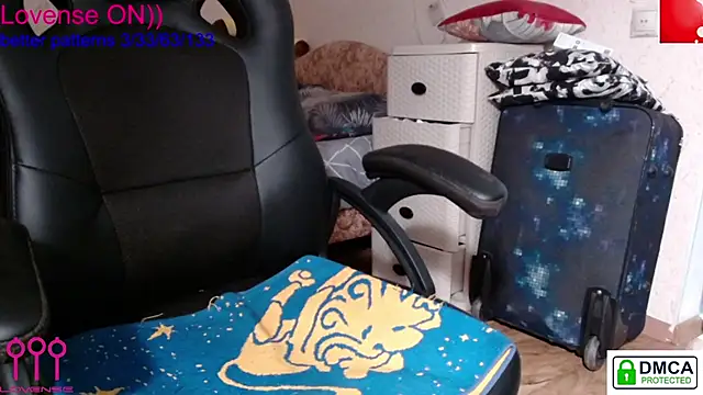 sweet cute cat online show from 01.26.25