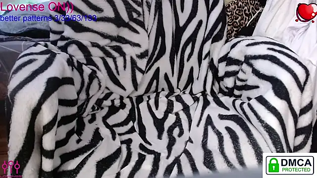 sweet cute cat online show from 03.13.26