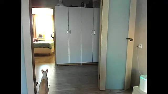 sweeetgirls2021 online show from 12.12.24