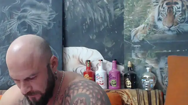 viking 30 online show from 10.06.25