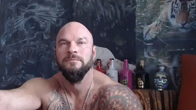 viking 30 online show from 10.08.25