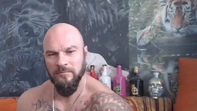 viking 30 online show from 10.28.25