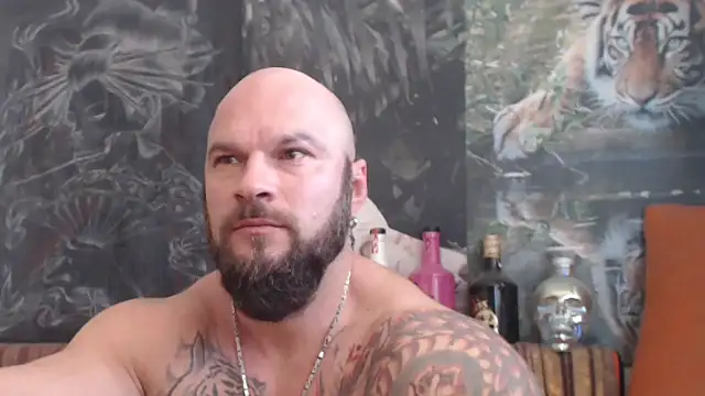 viking 30 online show from 11.02.25