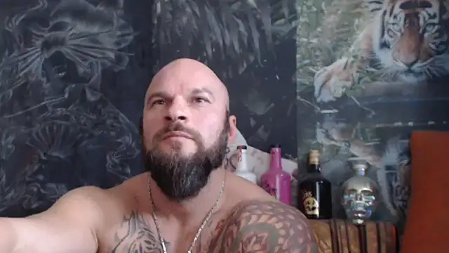 viking 30 online show from 11.04.25