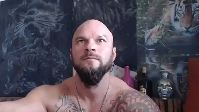 viking 30 online show from 11.09.25