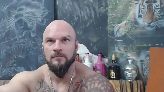 viking 30 online show from 11.11.25