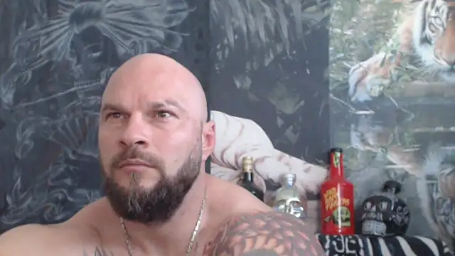 viking 30 online show from 06.02.26
