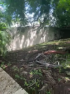 Snapshot of JohnnyBigShot chatting on 09.28.25 JohnnyBigShot online show from 09.28.25