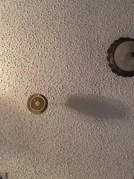 danieldonte online show from 04.23.26