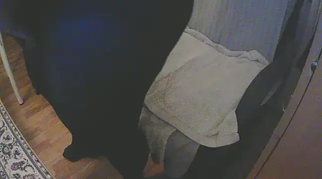 Snapshot of szadamo chatting on 12.11.24 szadamo online show from 12.11.24