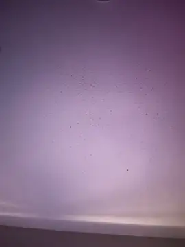 6lue6a6y69 online show from 11.01.25