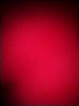 EvaCristal online show from 12.20.25