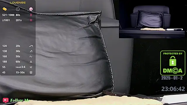 Snapshot of melia_Z chatting on 01.02.25 melia Z online show from 01.02.25