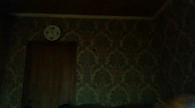 Snapshot of WildMissNiks chatting on 12.02.24 WildMissNiks online show from 12.02.24