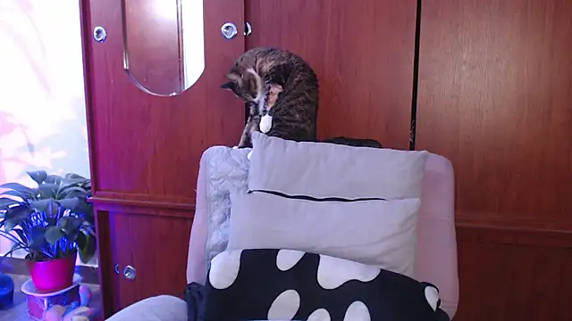 Raventh  online show from 02.13.26