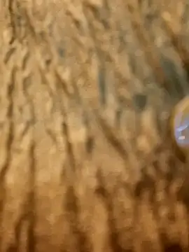 Dirtyfeelin online show from 02.13.25