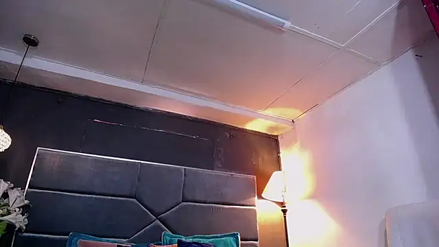 teddyfit19cm online show from 11.11.25