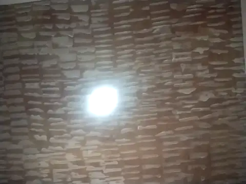 catdool online show from 09.22.25