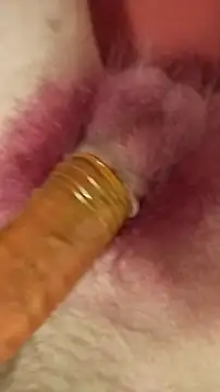 Snapshot of DerWeisser chatting on 02.03.25 DerWeisser online show from 02.03.25