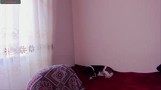 aluna 0310 online show from 12.20.24