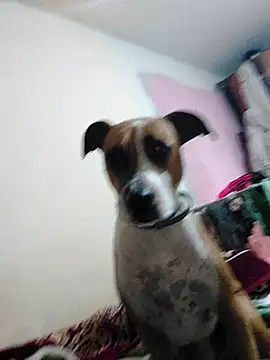 Snapshot of JoLeNe27 chatting on 10.06.25 JoLeNe27 online show from 10.06.25