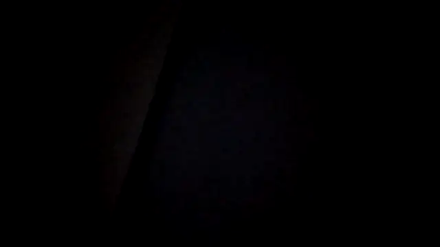 zaadslet2000 online show from 07.11.26