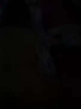 Romeo19190 online show from 06.04.26