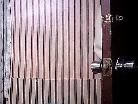 BigDickTrans online show from 01.13.25