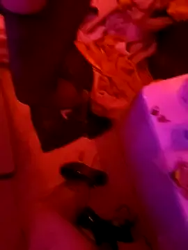 Snapshot of Misspadrona88 chatting on 02.02.25 Misspadrona88 online show from 02.02.25