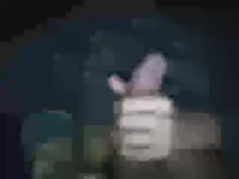 Snapshot of jheisonct chatting on 04.02.26 jheisonct online show from 04.02.26