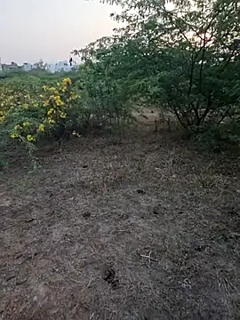 rameshmry1 online show from 03.05.26