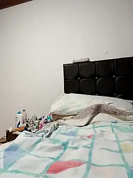 Vicky Rosse online show from 04.11.26