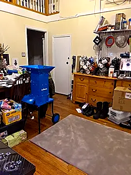 VelvetDiablo online show from 03.14.26