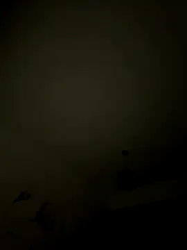 Snapshot of 1Aleks13 chatting on 11.12.25 1Aleks13 online show from 11.12.25