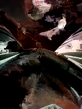 FinableKnee online show from 11.17.25