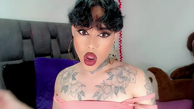 little star porn online show from 11.24.25