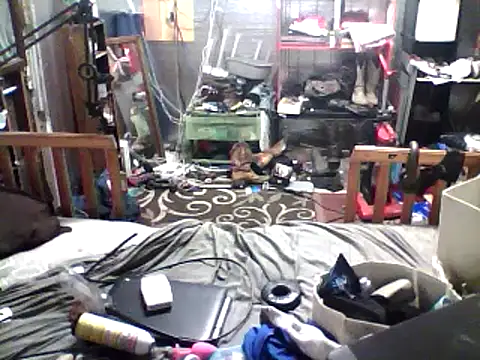 gstudc online show from 03.04.25