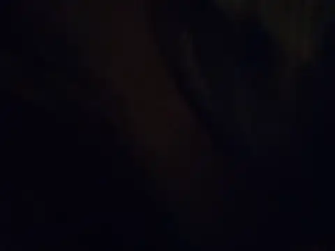 420pussylickr online show from 07.30.26