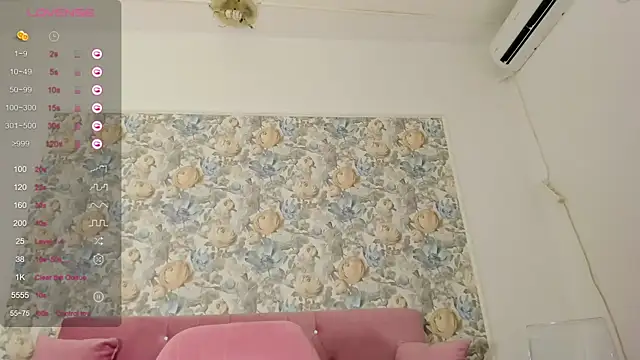 Snapshot of illegal_lorry chatting on 10.17.25 illegal lorry online show from 10.17.25